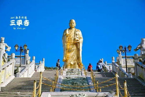 三平祖师公姻缘(三平祖师公求什么最灵)
