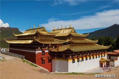 仁寿姻缘寺庙电话(仁寿县寺院)