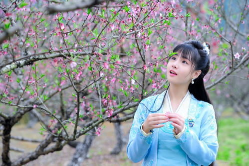 人间姻缘水中莲(人间好姻缘)