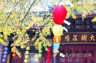 大慈寺求姻缘(大慈寺求姻缘怎么求)