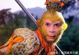 玉兔与唐僧姻缘(玉兔和唐僧的台词)