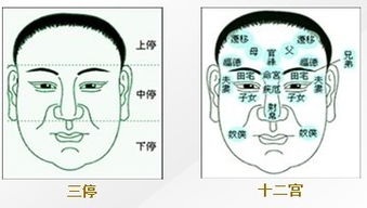 男女长相姻缘俗语(男女长相姻缘俗语是什么)