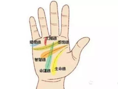 大有玄机姻缘手相(姻缘看手相)