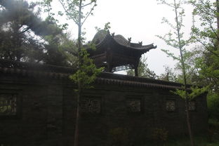 晋祠姻缘树(山西晋祠寺庙园林)