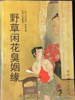 清代小说双姻缘(双姻缘在线阅读)