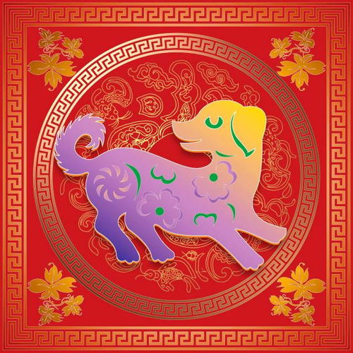 虎年属狗几月姻缘(虎年属狗的怎么样)