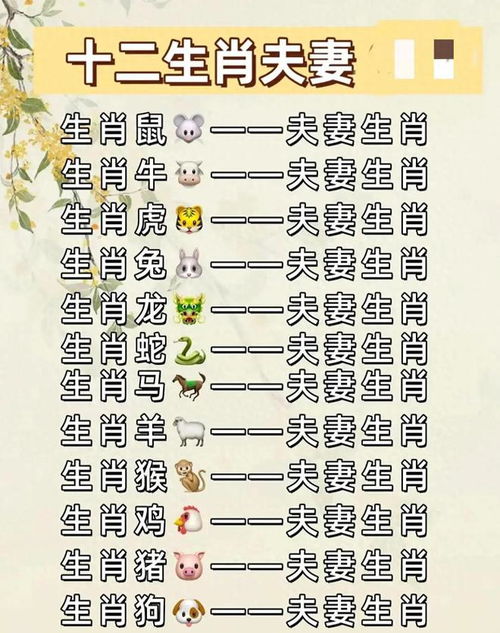 婚配姻缘配偶属相(配姻缘属相对照表)