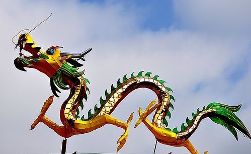 属相 姻缘 龙(属龙人姻缘属相)
