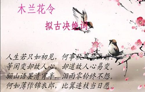 工作如姻缘(工作如是爱情亦如是什么意思)