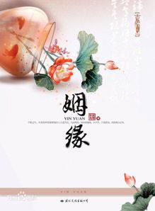 姻缘小说名(姻缘小说简介)