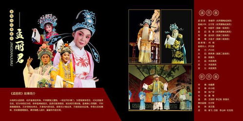 孟丽君姻缘签(孟丽君求功名)