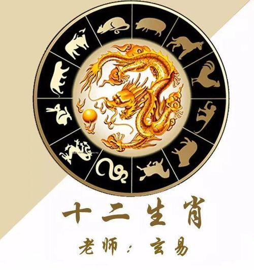 是美满姻缘(美满姻缘打一最佳生肖)