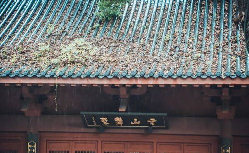 城隍庙求姻缘多少钱(城隍庙 求姻缘)