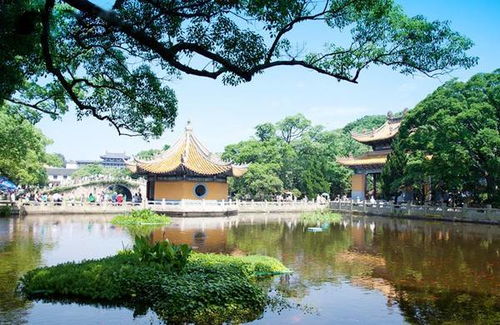 普陀山求姻缘在哪个寺(普陀山求姻缘在哪个寺庙)