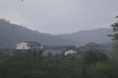 如何看两个人姻缘(如何查两人的姻缘线)