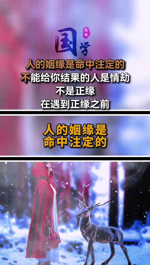 姻缘应是命中注定(姻缘应是命中注定吗)