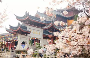 鸡鸣寺怎么求姻缘签(鸡鸣寺如何求签)