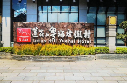 广州哪里有姻缘树(广州求姻缘最好的地方在哪里)