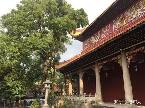 衡山烧香求姻缘(衡山上香灵验吗)