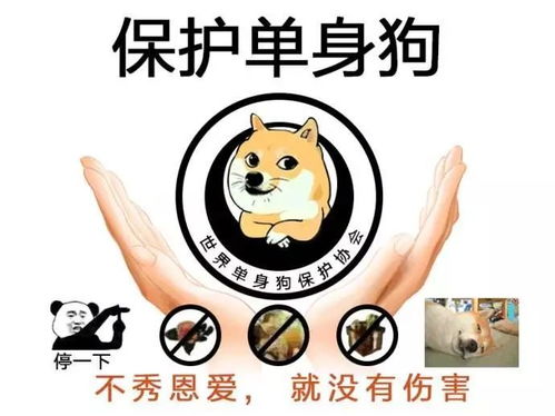 什么是不正常姻缘(什么叫不正常姻缘)
