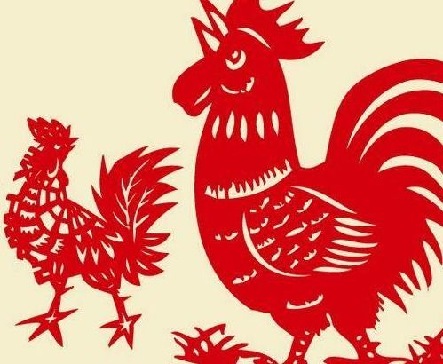 1981年属鸡的姻缘(1981年属鸡姻缘在哪年最旺盛)