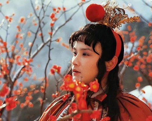 前世姻缘的故事(前世姻缘的故事有哪些)