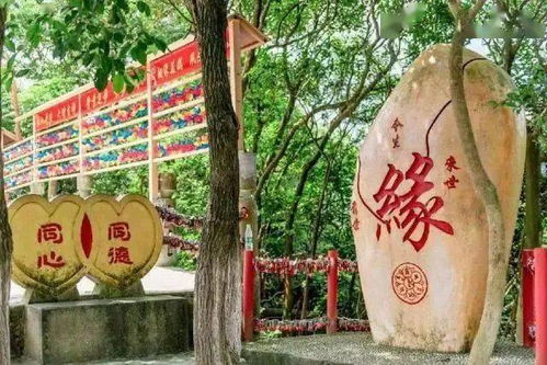 观音山姻缘(观音山姻缘文化)