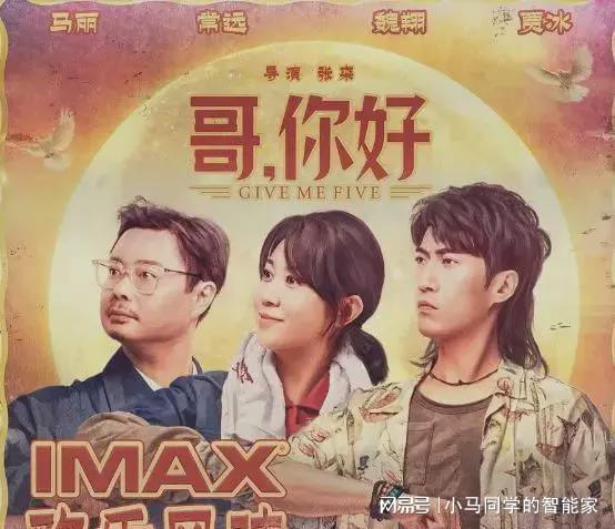 悲伤姻缘 余晖(悲喜姻缘电影国语版)