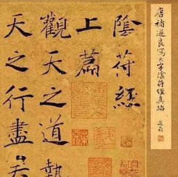 南怀瑾 姻缘(南怀瑾的爱情)