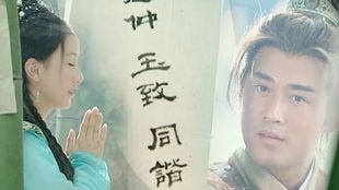 悲伤姻缘中文版(悲伤姻缘中文版叫什么)
