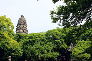三笑姻缘虎丘(三笑姻缘虎丘山免费观看)