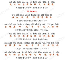悲伤姻缘罗美(悲伤的姻缘中文歌词)