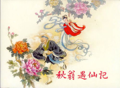 苇佩遇仙 姻缘(苇佩遇仙姻缘)
