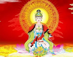 观音灵签 24 姻缘(观音灵签二十四签姻缘)