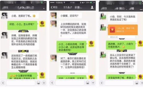十二星座的姻缘(十二星座姻缘表)