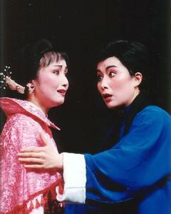 啼笑姻缘电视剧免费(啼笑姻缘87版电视剧)