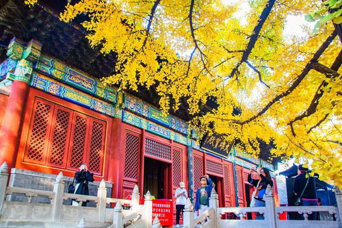 北京红螺寺求姻缘(北京红螺寺求姻缘讲究)