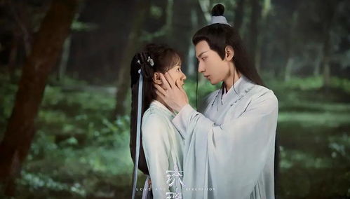 原来姻缘命中注定小说(原来姻缘前生定,莫怪此生总痴情)