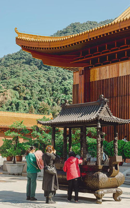 弘法寺求姻缘去哪里(弘法寺求什么)