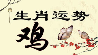 命里无财无姻缘(命里无财的表现)