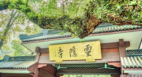 成都有名的寺庙姻缘(成都哪个寺庙求姻缘最灵验)