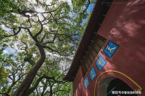 法雨寺求姻缘攻略(法雨禅寺求什么最灵)