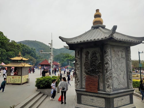 深圳凤岩古庙姻缘(深圳凤凰山凤岩古庙电话)