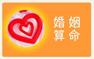 免费算姻缘婚姻很准(免费算姻缘的软件)