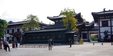 南宁观音禅寺求姻缘(南宁观音禅寺求签)