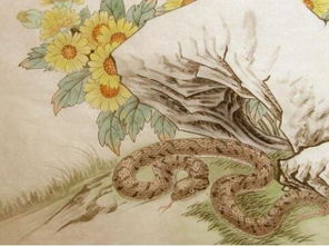 属龙人找姻缘(属龙的要找什么样的另一半)