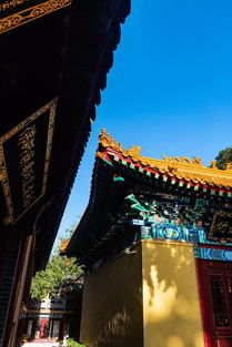 千佛山拜姻缘(千佛山香火拜哪个)