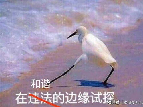 边缘姻缘网盘(边缘姻缘(上)