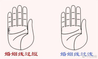 左右手姻缘(左右手的婚姻线怎么看)