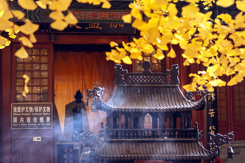昆明求姻缘灵验(昆明求婚地点)